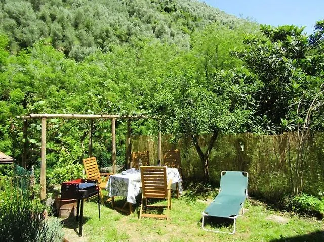 Il Frantoietto Villa Nocchi